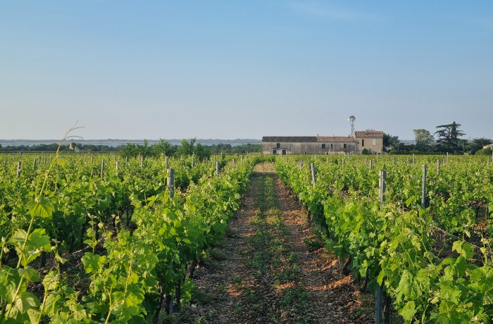 Gallician Moussie Farmhouse