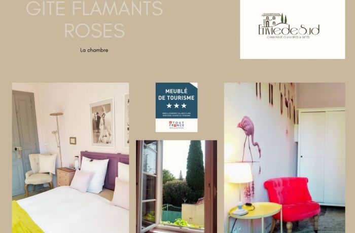 furnished accommodation with pink flamingos Envie de Sud in Vauvert