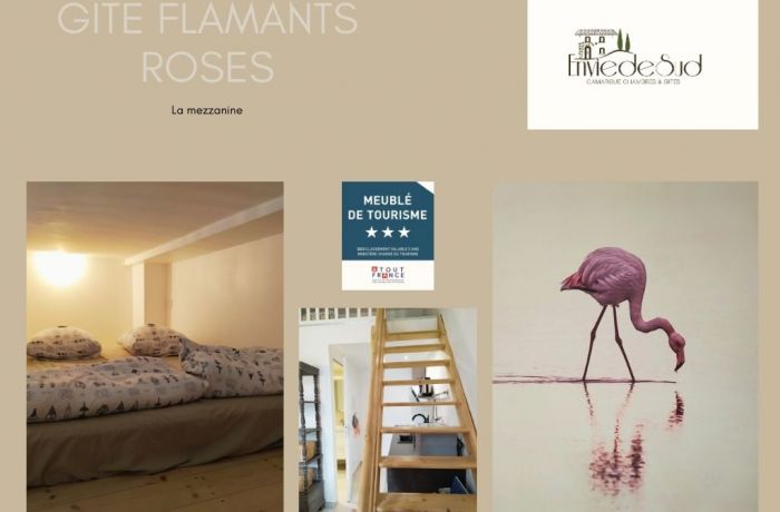 furnished accommodation with pink flamingos Envie de Sud in Vauvert