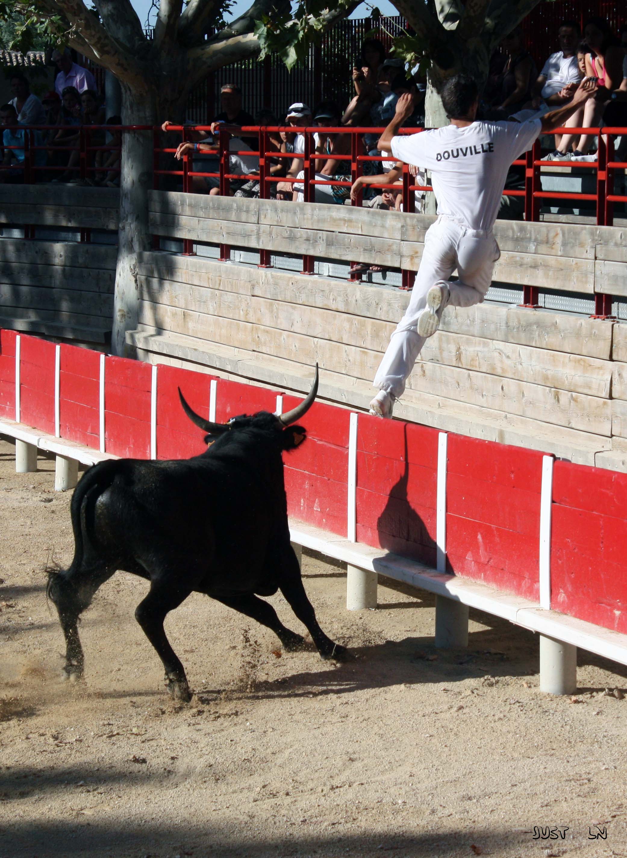 Course camarguaise  - Aimargues 