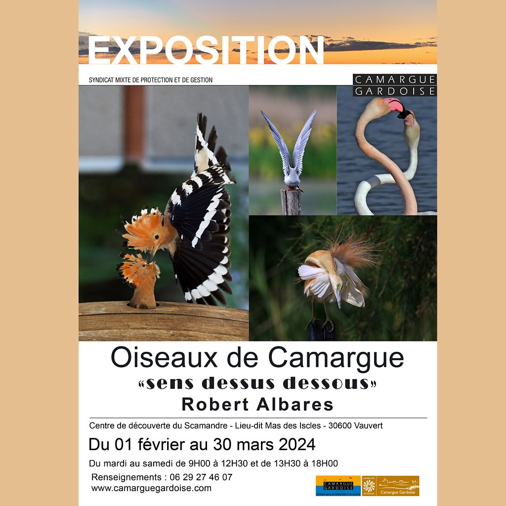 Expo de photos Centre du Scamandre à Gallician - Jusqu'au 30 mars 2024