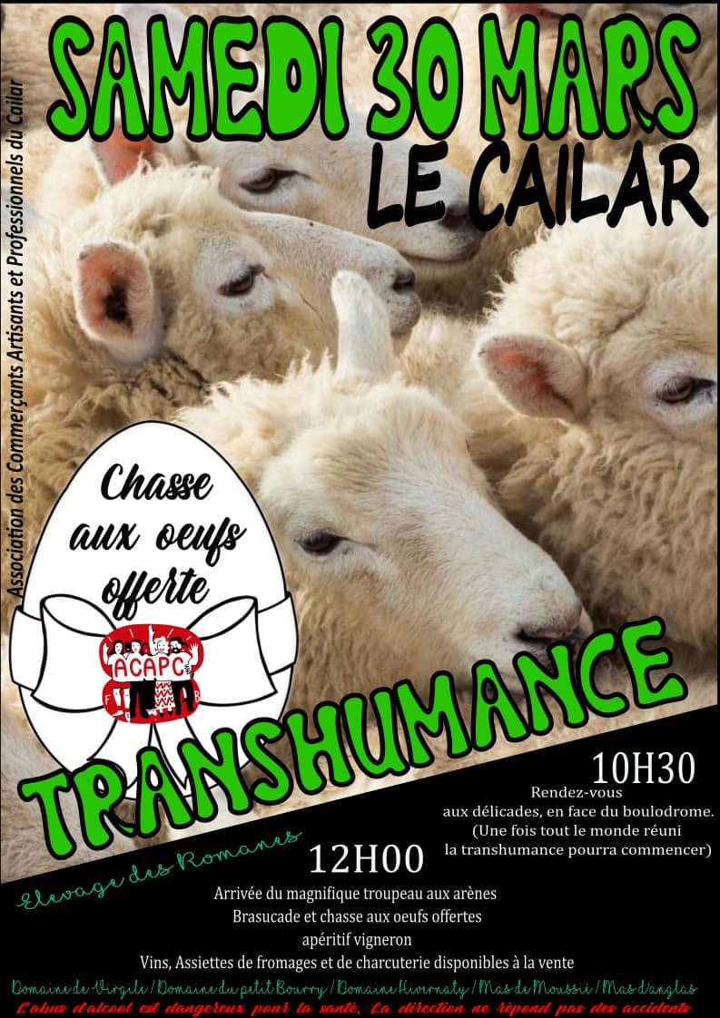 transhumance le cailar - 30 mars 2024