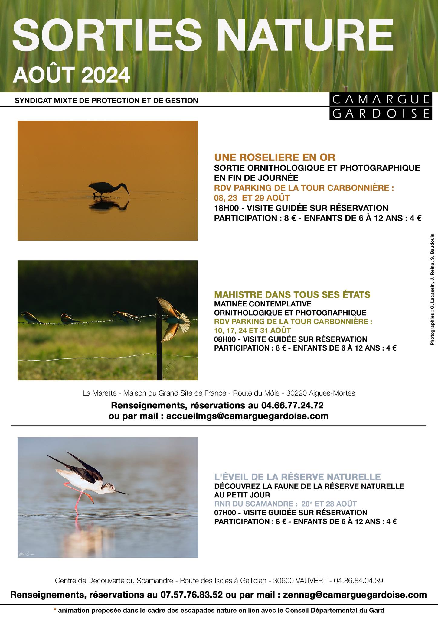 Sorties nature