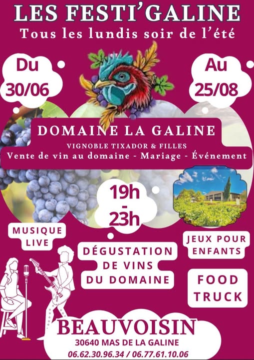 Festi'galine