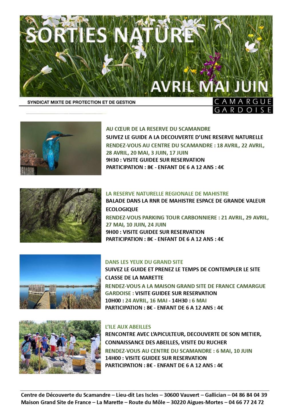 Visites guidées iles aux abeilles