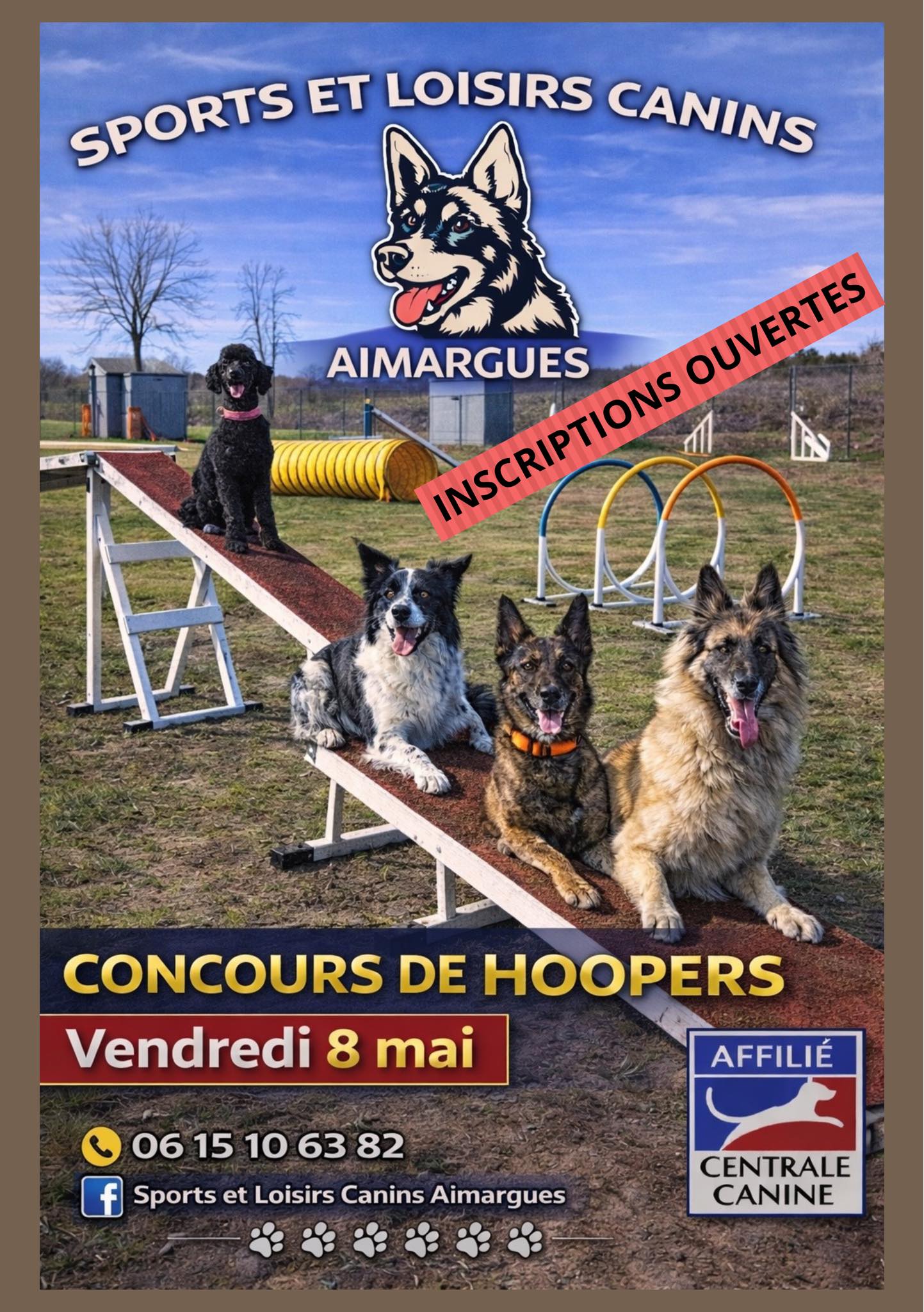 Concours de Hoopers - 8 mai 2026 à Aimargues