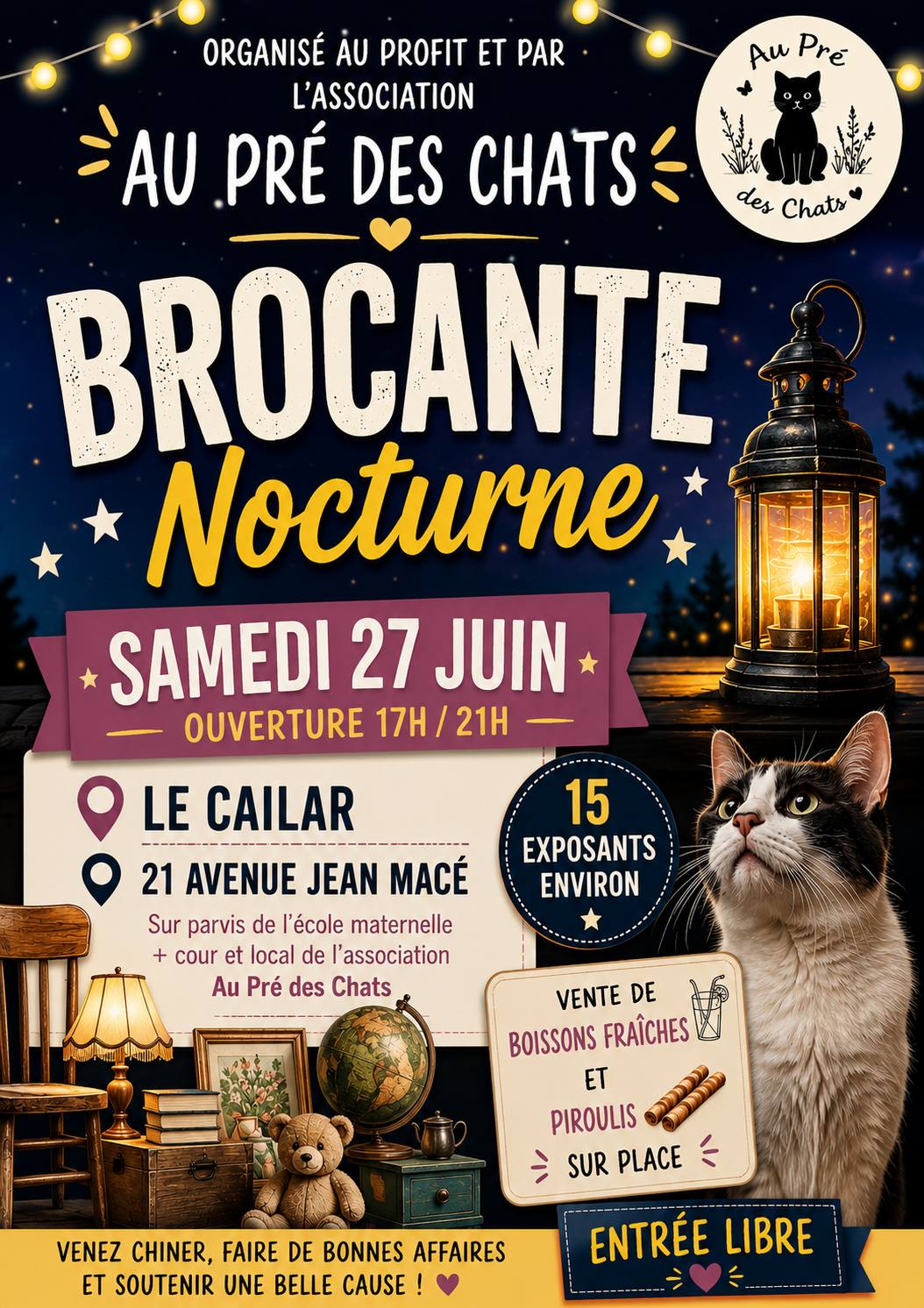 Brocante nocturne- au pre des chats - samedi 27 juin 2026