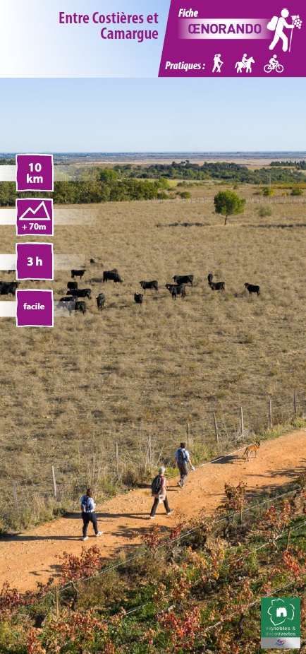 Oenorando Entre Costières et Camargue