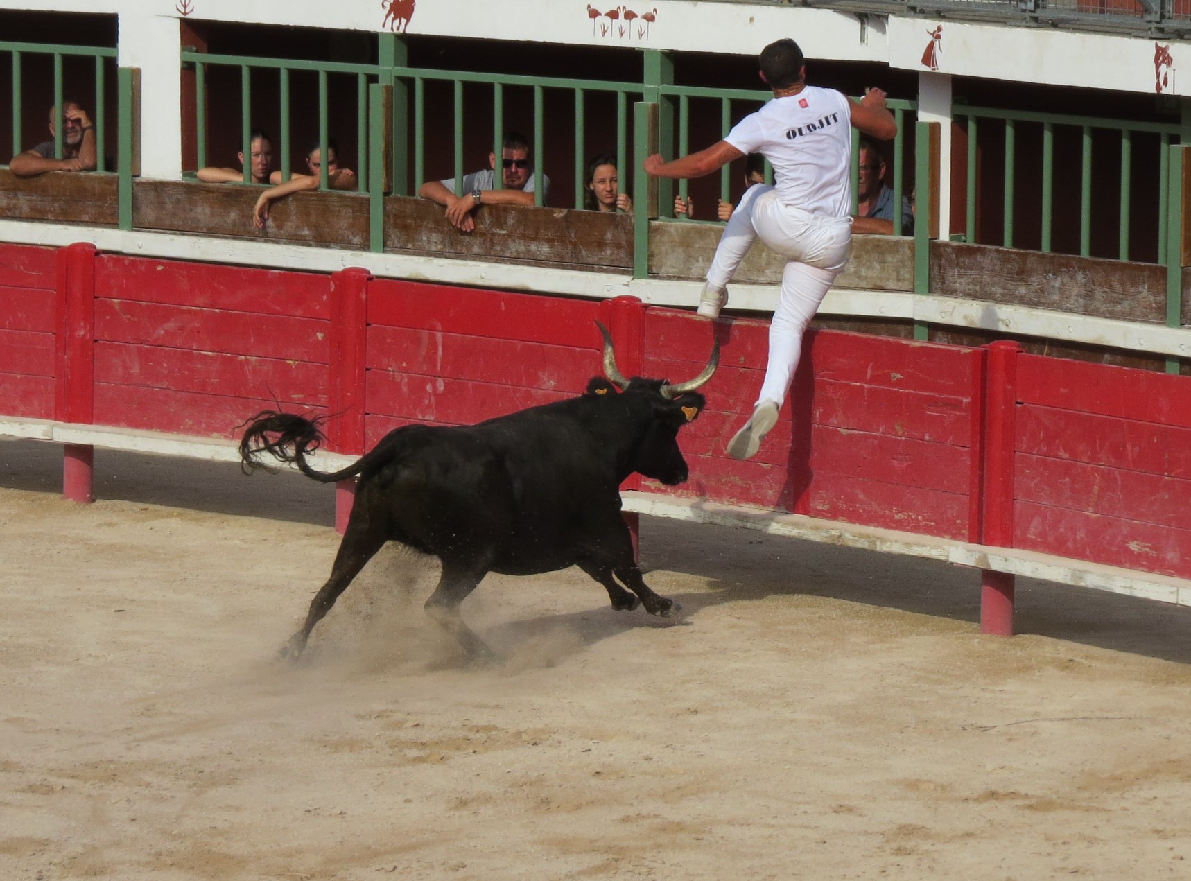 Camargue-style bullfighting - 24th Winegrowers' Trophy - Day 2 - May 1st, Vauvert