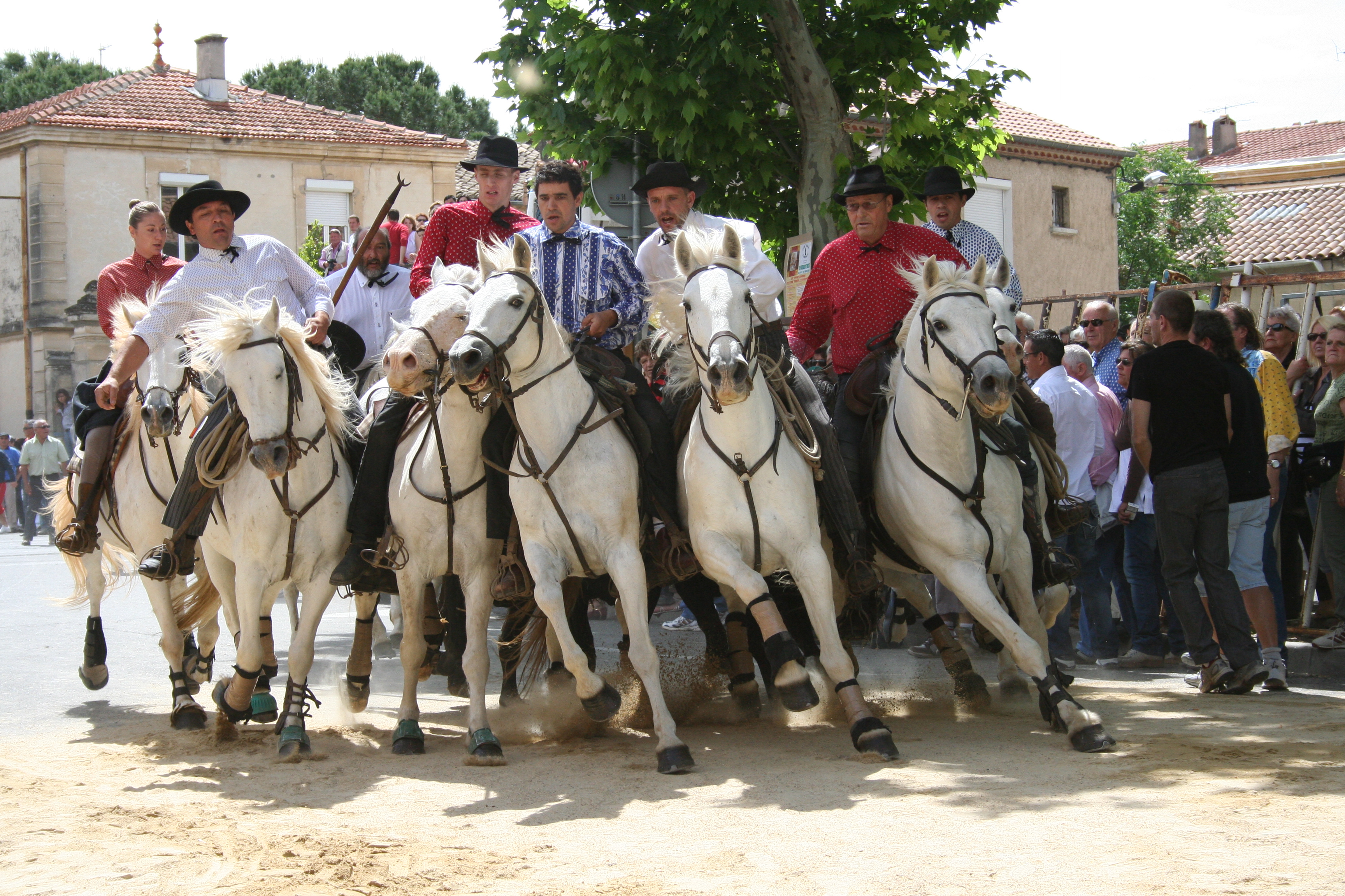 Concours Abrivado