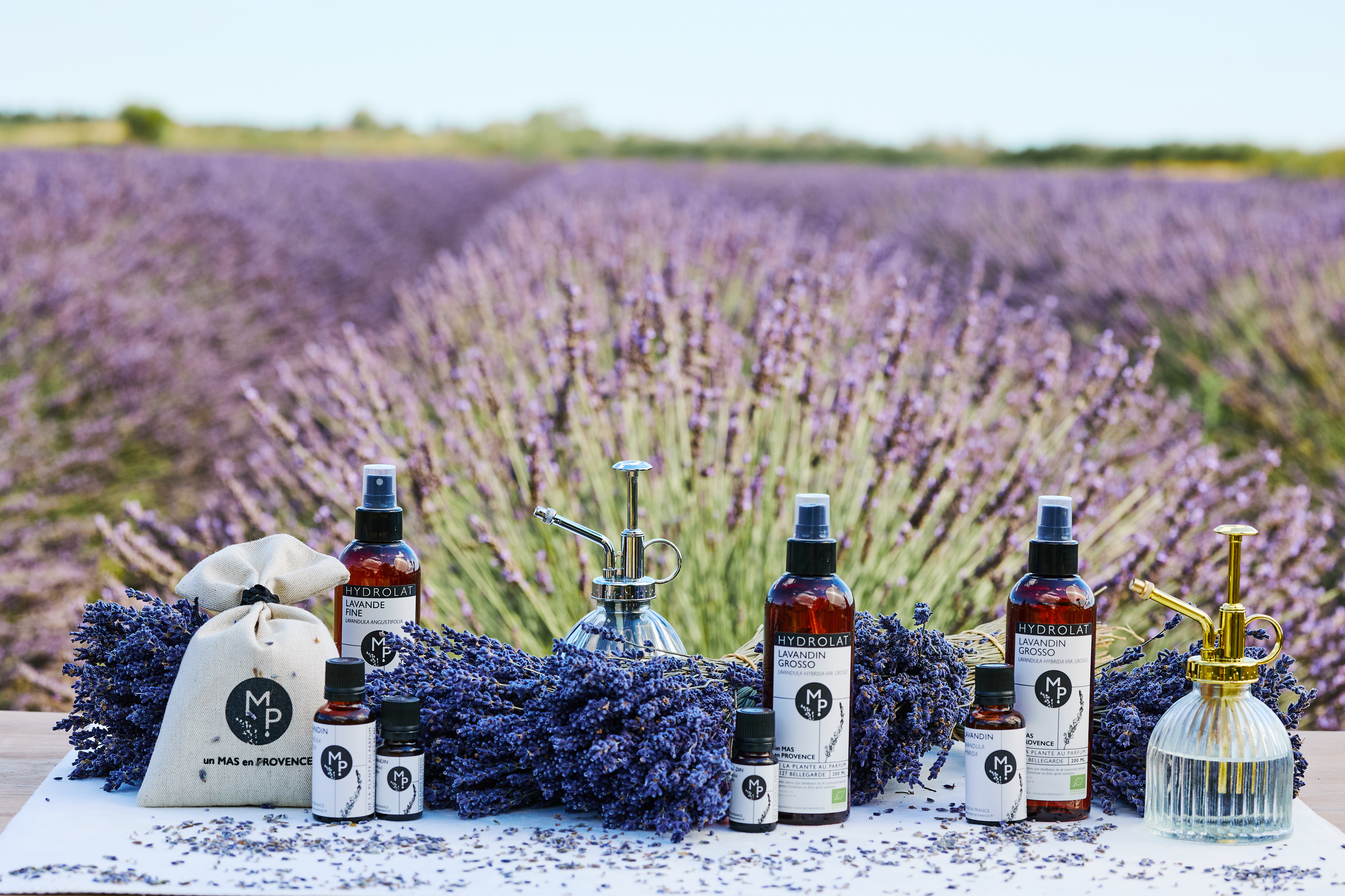 Mas en Provence