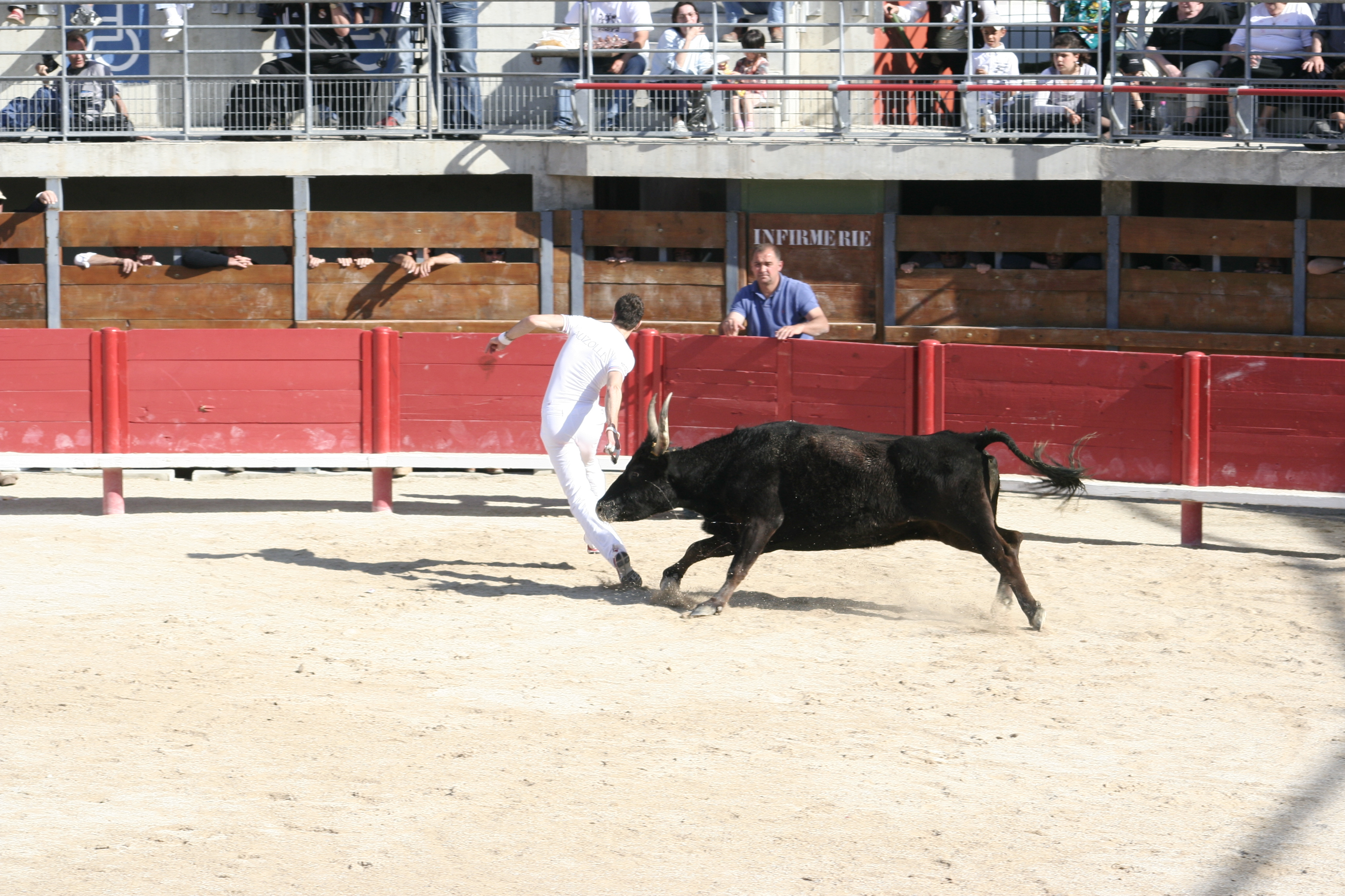 Camargue Medical Trophy, Thursday, May 29, Vauvert