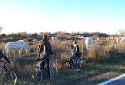 VTT Balade en Camargue