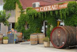 cave vauvert