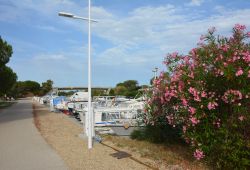 port de gallician