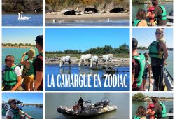 camargue en zodiac
