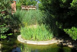 greenery basin room natural reception