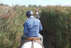 Les Chevaux de Sylvéréal