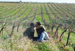 un coin sur terre Vauvert
