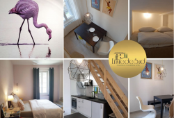 furnished accommodation with pink flamingos Envie de Sud in Vauvert