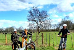 trott life camargue