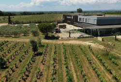 vignoble scamandre vauvert