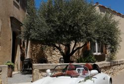 rental the gites under the olive tree gite Le mazet under the outside olive tree