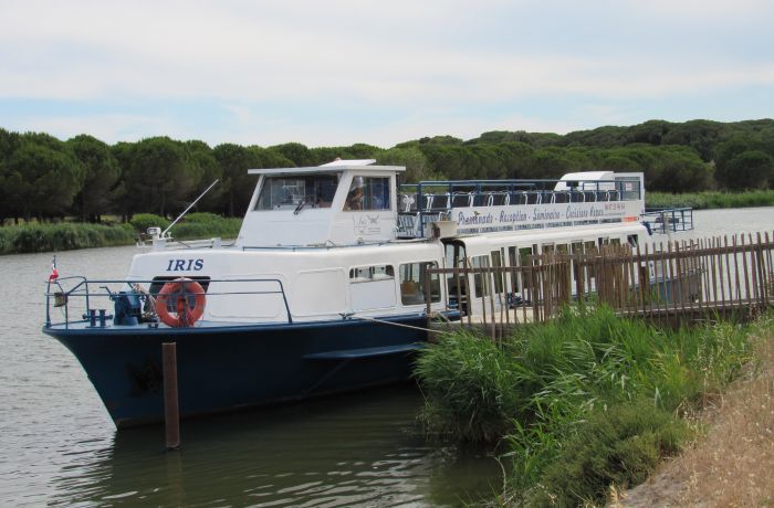 bateau iris