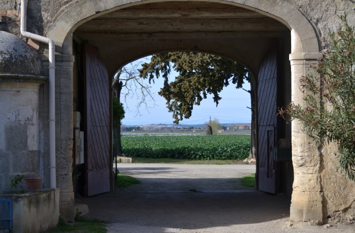 domaine hivernaty aimargues