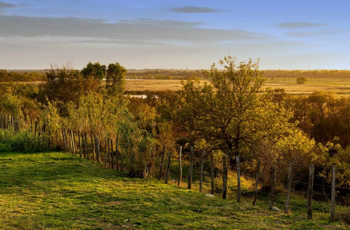 vacances camargue