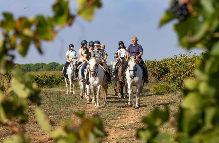 vacances camargue