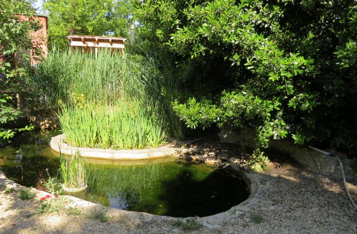 dormitory room, natural welcome, aquatic pool