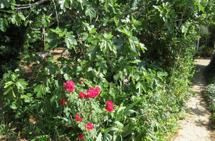 dormitory room, natural outdoor reception