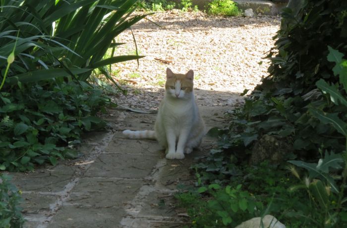 dormitory room natural welcome