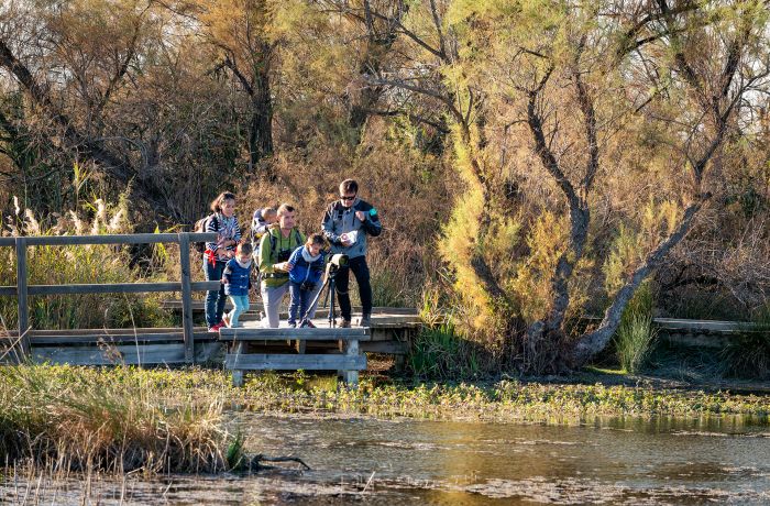 Centre of the Scamander gallician