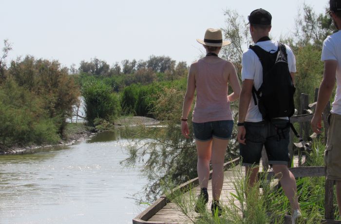 Centre of the Scamander gallician