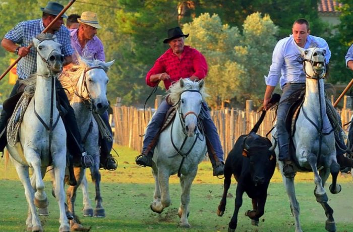 manade saint louis montcalm