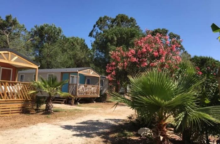 camping le mas de mourgues en camargue