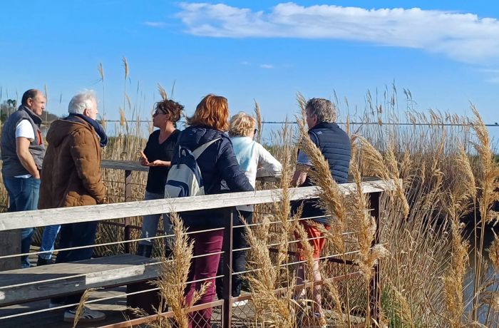 safari karine coeur de camargue