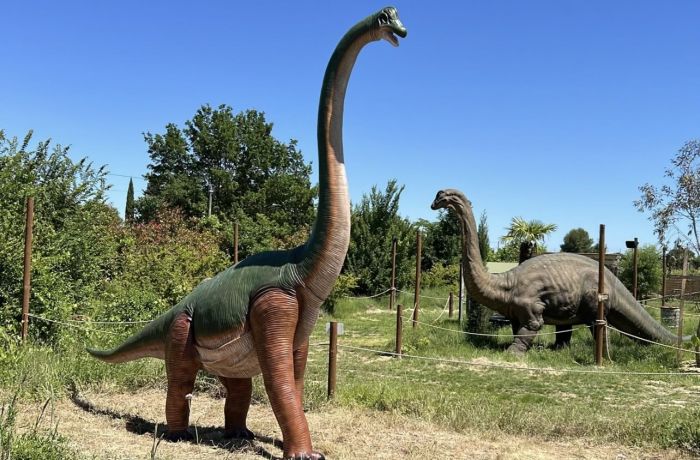 optimum loisirs gallargues