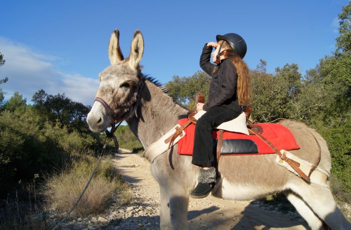 Au pas de l'ane calvisson