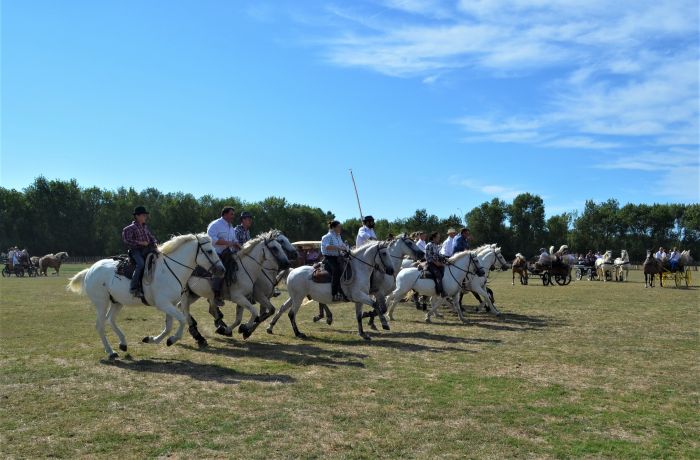fête de la saladelle le cailar