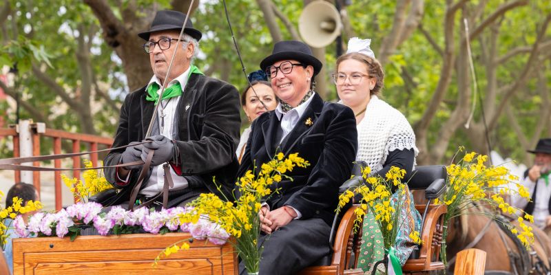concours abrivado vauvert